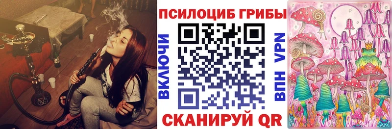 Галлюциногенные грибы Psilocybine cubensis  Вольск 