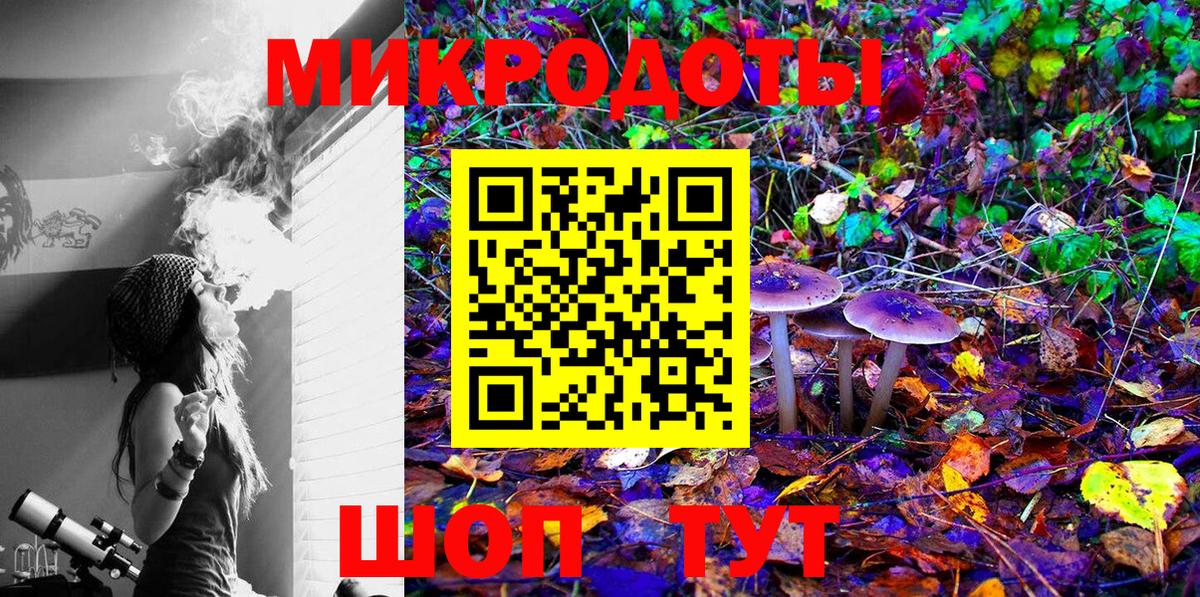 Псилоцибиновые грибы Psilocybe  Вход с VPN  Галлюциногенные грибы мицелий  Вольск 