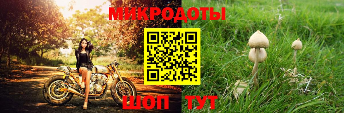 Псилоцибиновые грибы Magic Shrooms Вольск