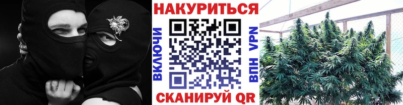 Бошки марихуана Bruce Banner  OMG онион  Вольск 